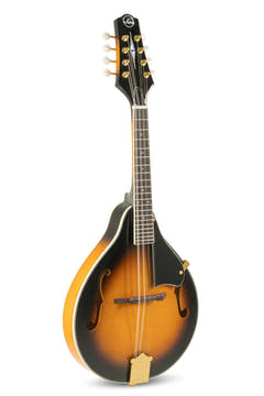 mandolin