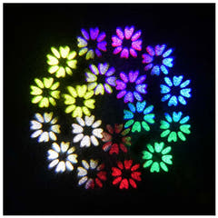 Evolights NEO Faisceau 100W