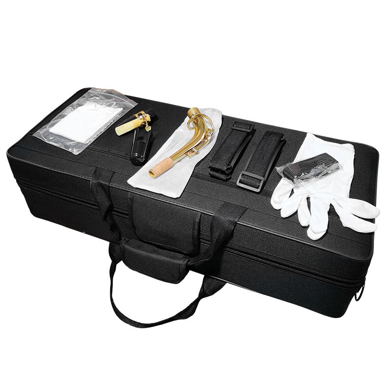 V-TONE AS 100 saxophone alto avec set de housse