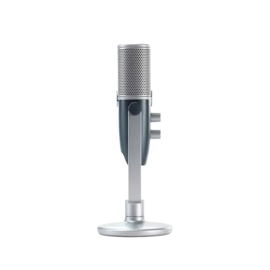 AKG C22 ARA USB Microphone