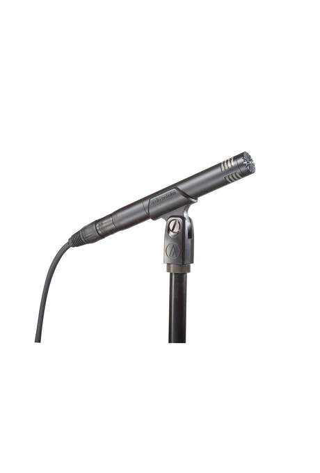 Audio-Technica AT2031 Microphone à condensateur