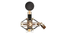 iCon Aurora microphone à condensateur, grande membrane