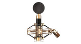 iCon Aurora microphone à condensateur, grande membrane