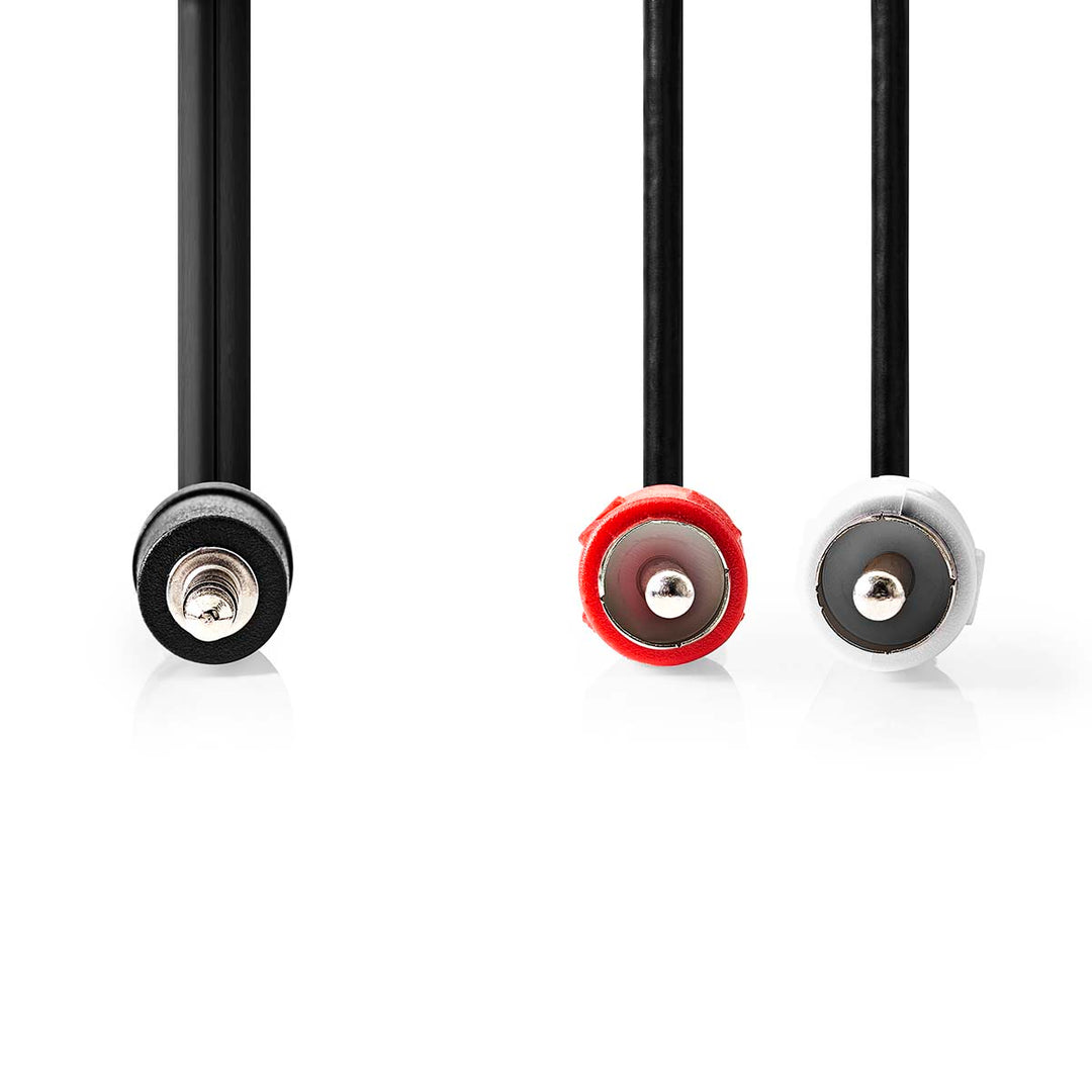 Câble adaptateur Minijack vers RCA Phono (2m)