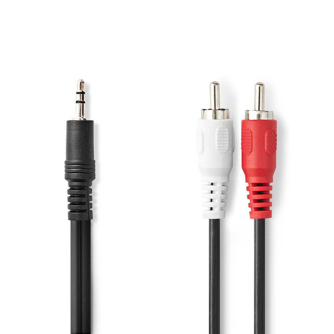 Câble adaptateur Minijack vers RCA Phono (2m)
