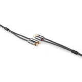 Câbles Phono stéréo Premium (2m)