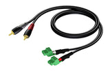 ProCab 2 x RCA han > 2 x terminal blok 3P 3,81mm, 0,5 m