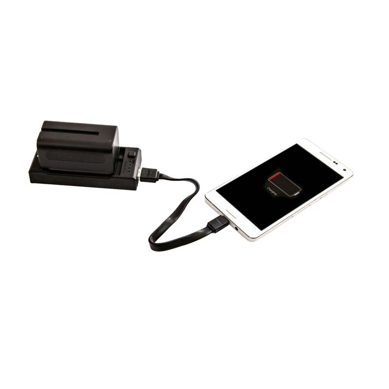 Nanlite CN-58 2-1 charger for NP-type batteries