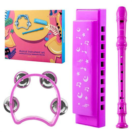 Mundharmonika, blokfløjte og tambourin sæt i pink.