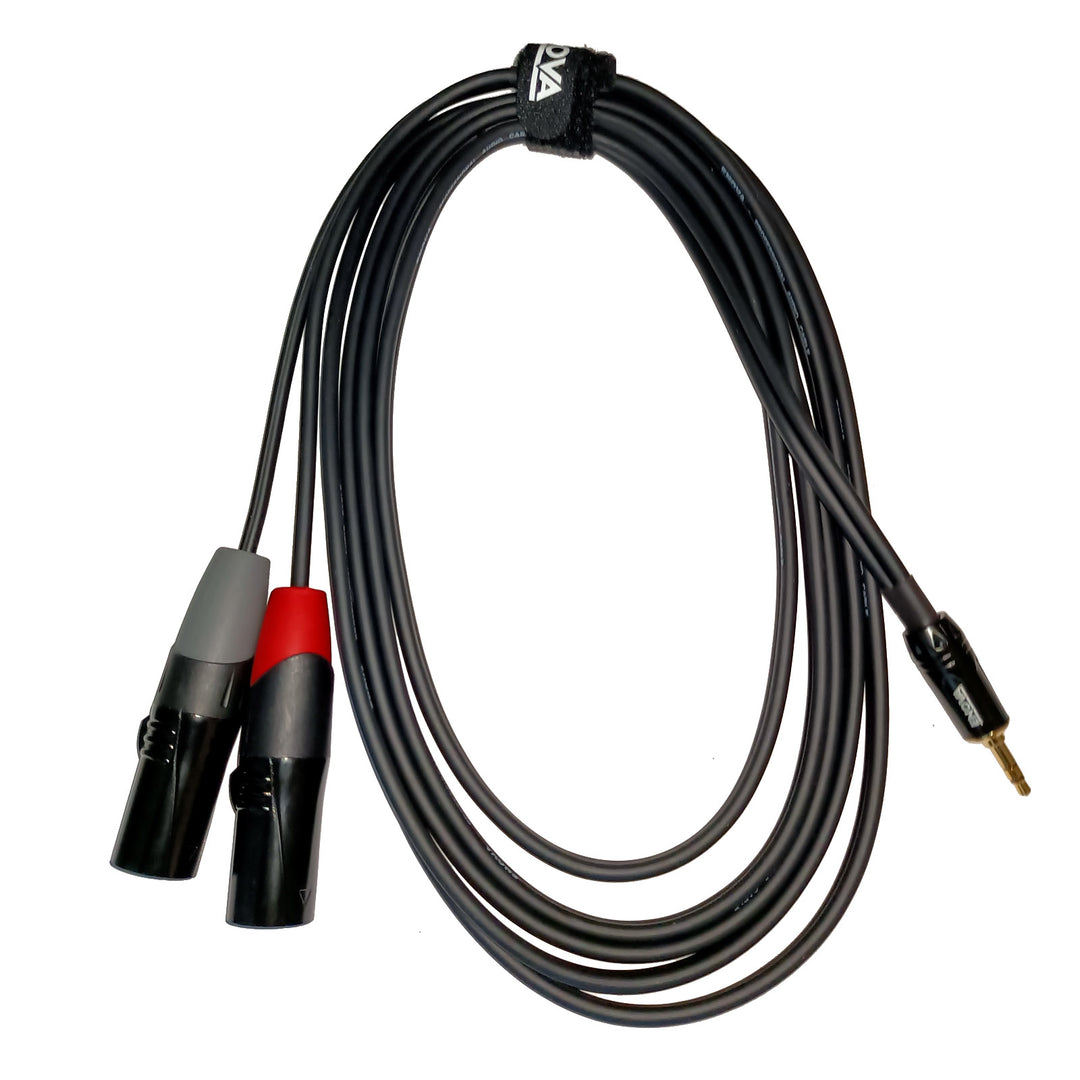 Enova câble adaptateur MiniJack > 2 x XLR mâle, 1 mètre