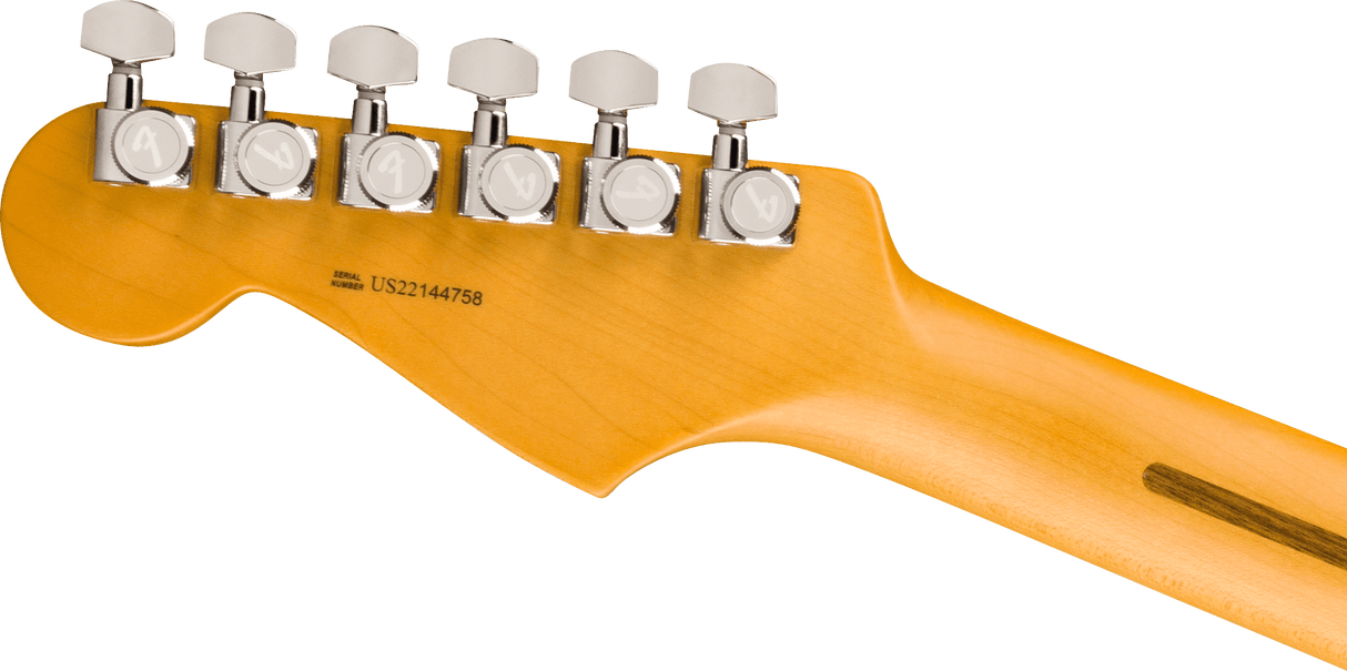 Fender 70th Anniversary American Professional II Stratocaster Electric guitar (Comet Burst)
