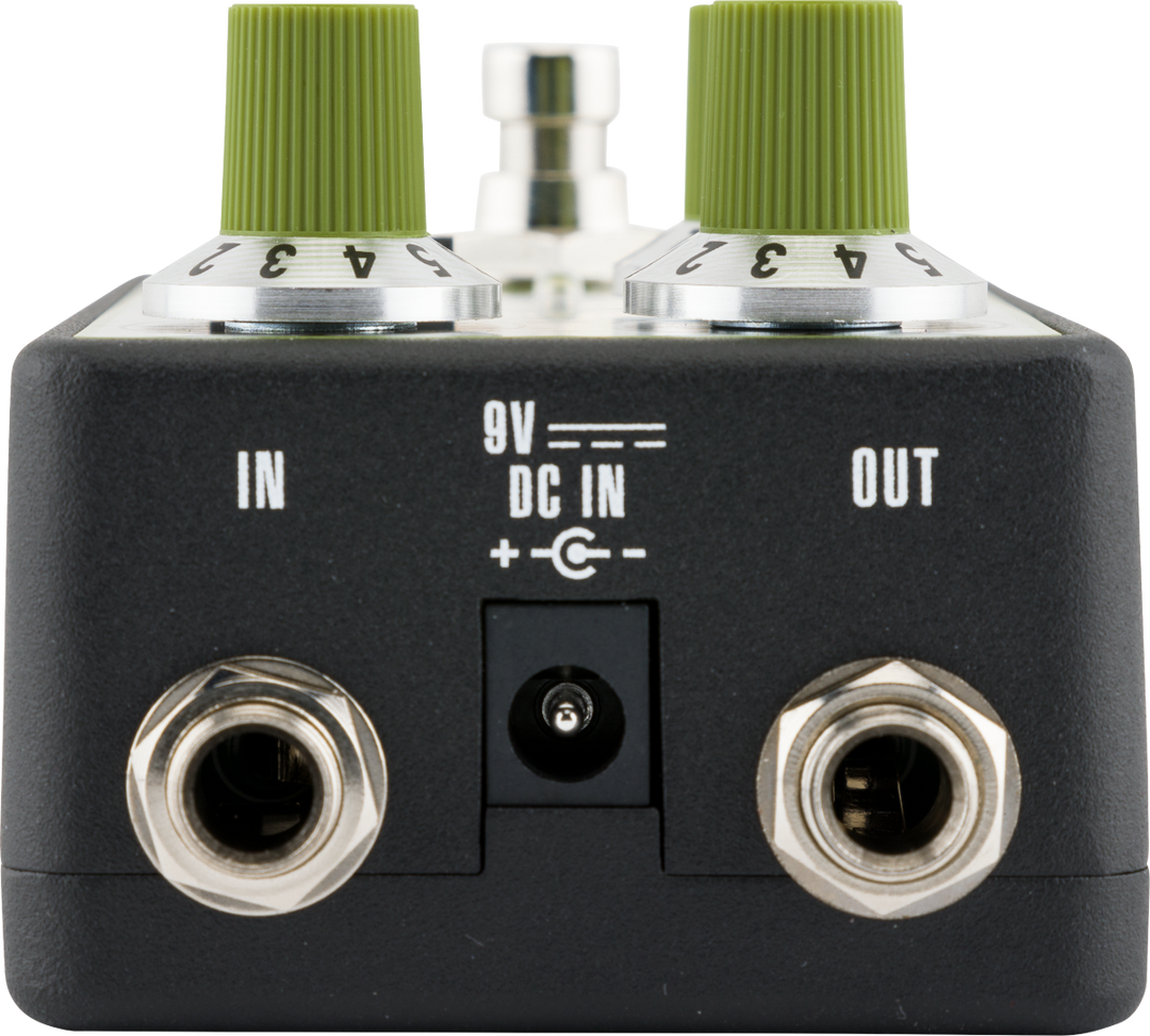 Fender Bassman Reverb Basso Pédale d'effet