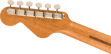 Fender Highway Series Parlor (All Mahogany)