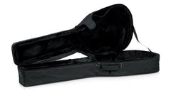 Gator GL-AC-BASS case
