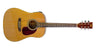Grooveland Guitare Western avec micro