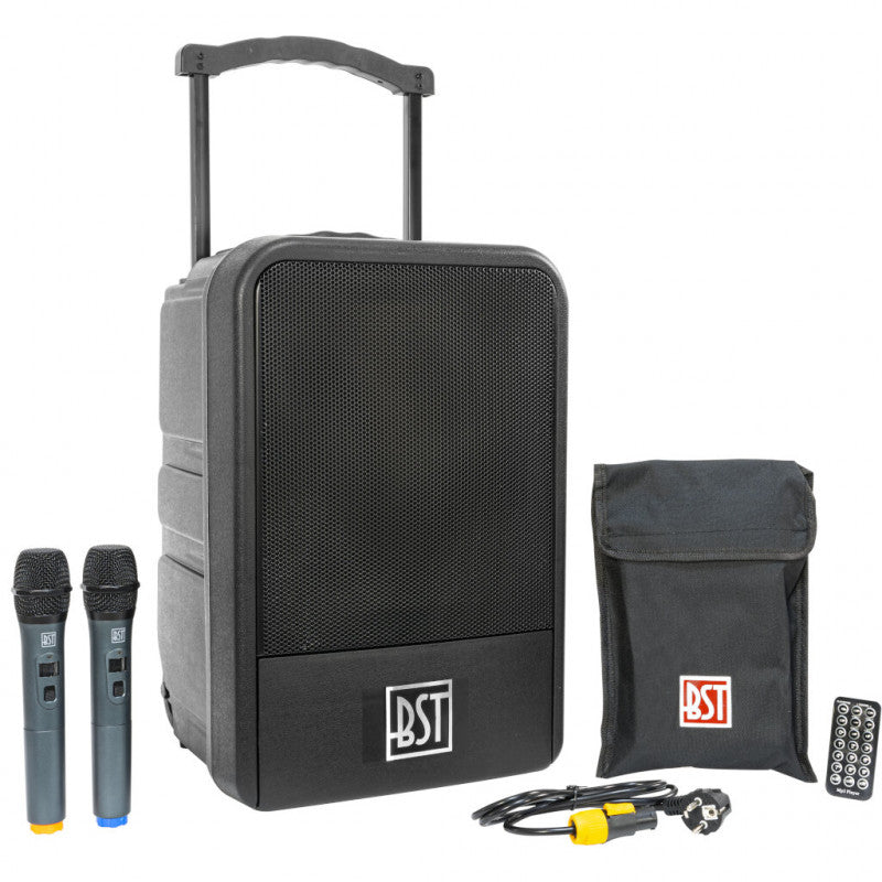 BST IPS10 "All-weather" festival speaker