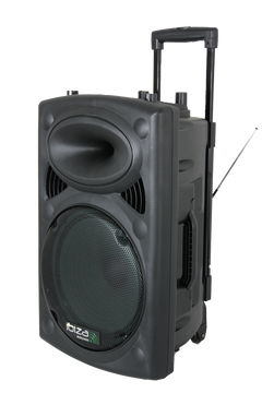 Ibiza Enceinte portable avec 15" Basso (Noir, 800W)