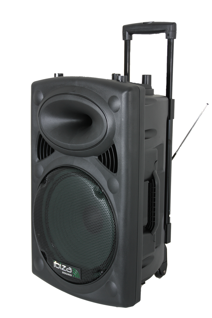 Ibiza Enceinte portable avec 15" Basso (Noir, 800W)