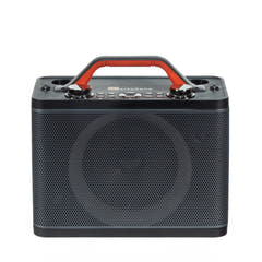 Système Karaoké avec 2 microphones (Noir)