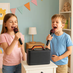 Système Karaoké avec 2 microphones (Noir)