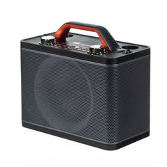 Système Karaoké avec 2 microphones (Noir)