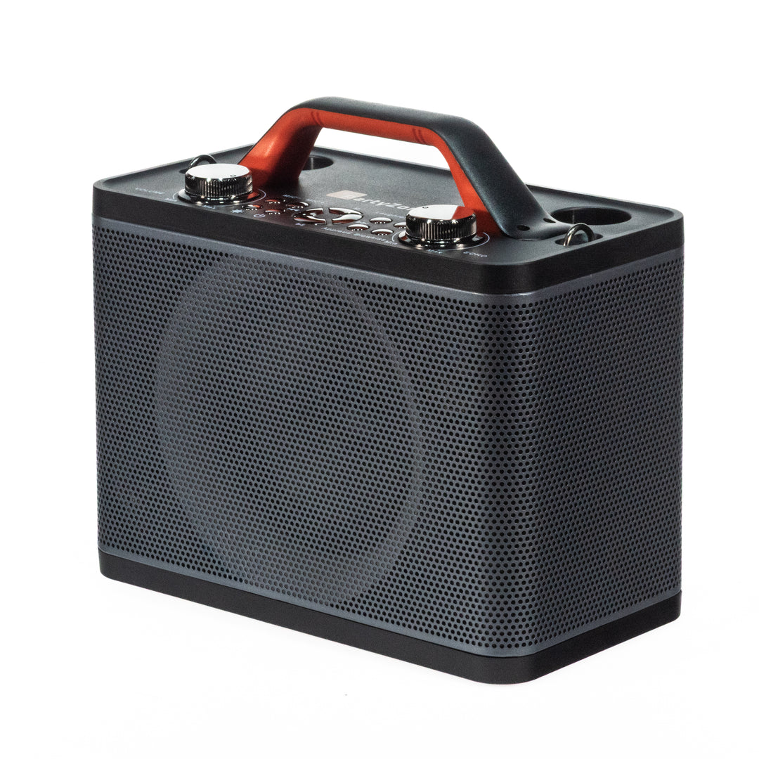Système Karaoké avec 2 microphones (Noir)