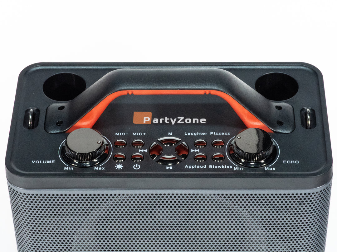 Système Karaoké avec 2 microphones (Noir)