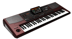 Korg PA-1000 Craviers (Bordeux)