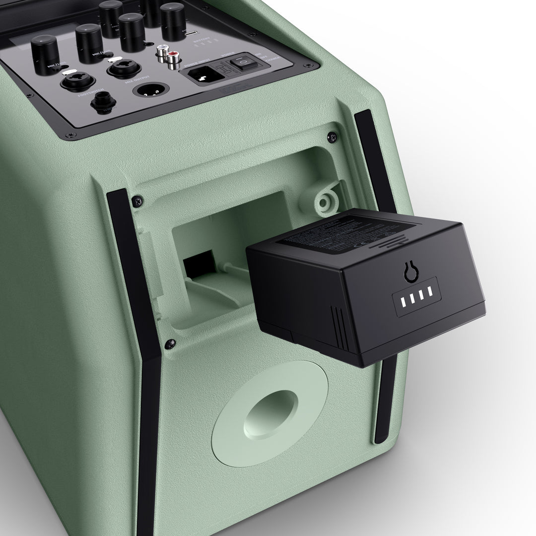 LD Systems ANNY® 8 HHD B6 GN - Enceinte PA Bluetooth® portable sur batterie avec mixer et 1x micro main sans fil, vert aventure
