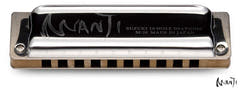 Suzuki Manji Standard M-20 Diatonique Harmonicas (G)