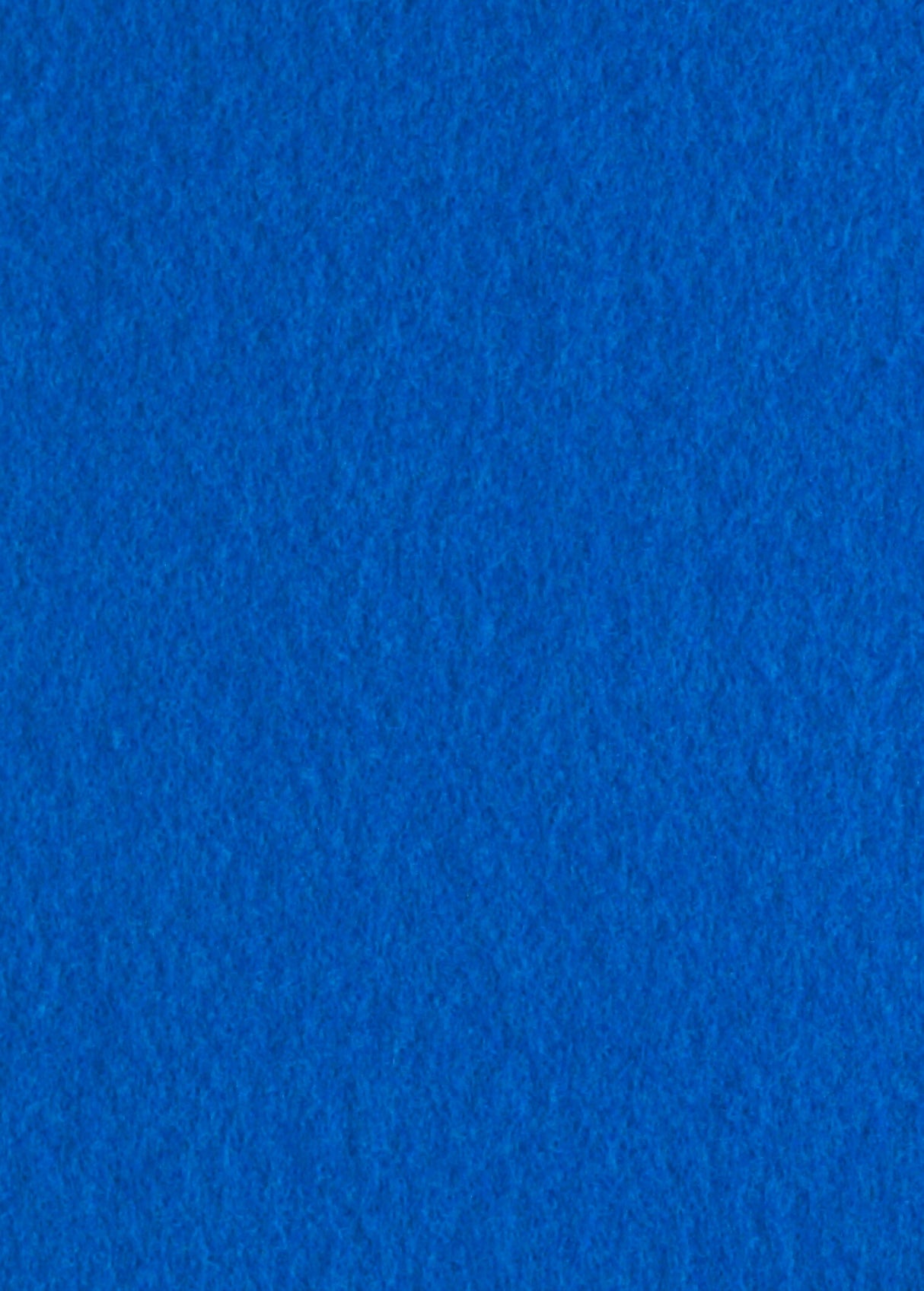 Blue Runner (2 x 50 meters)