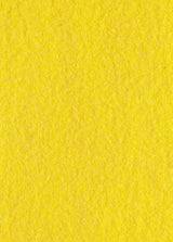 Yellow Runner (2 x 50 meters)