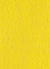 Yellow Runner (2 x 50 meters)