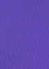 Violet Runner (2 x 50 meters)