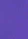 Violet Runner (2 x 50 meters)