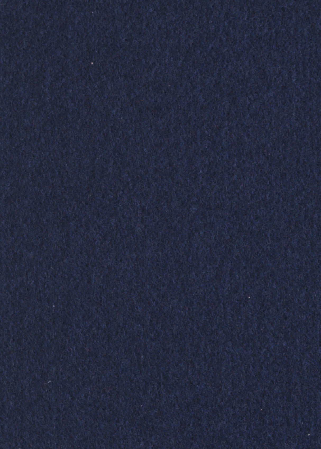 Dark Blue Runner (2 x 50 meters)