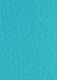 Turquoise Runner (2 x 50 meters)