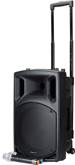 BST Nomad12 - Enceinte de Festival (400W)
