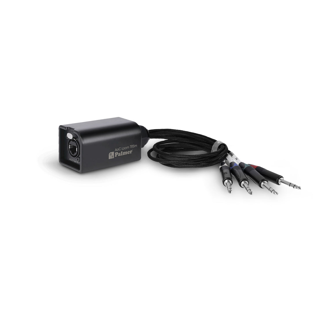 Palmer AoC Loom TRSm - Kit de câbles Audio over Cat de etherCON vers 4 x jack TRS 6,3 mm