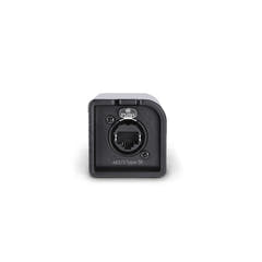 Palmer AoC Loom TRSm - Kit de câbles Audio over Cat de etherCON vers 4 x jack TRS 6,3 mm