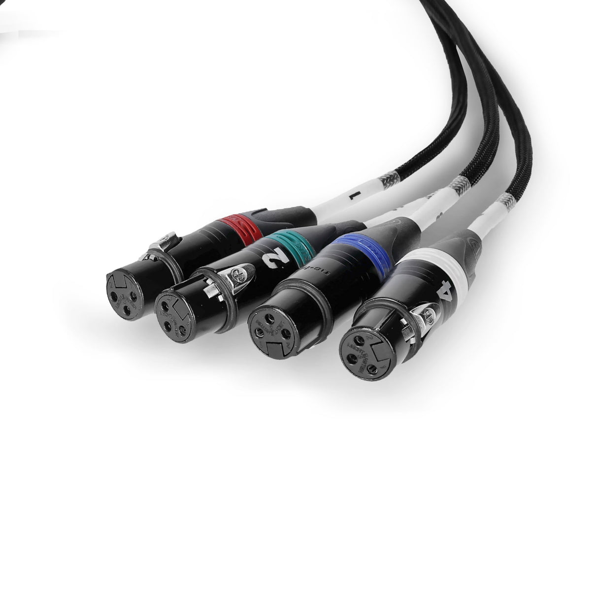 Palmer AoC Loom XLRf - Câble Audio over Cat de etherCON vers 4 x XLR femelle