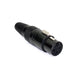 Perfex Connecteur XLR femelle