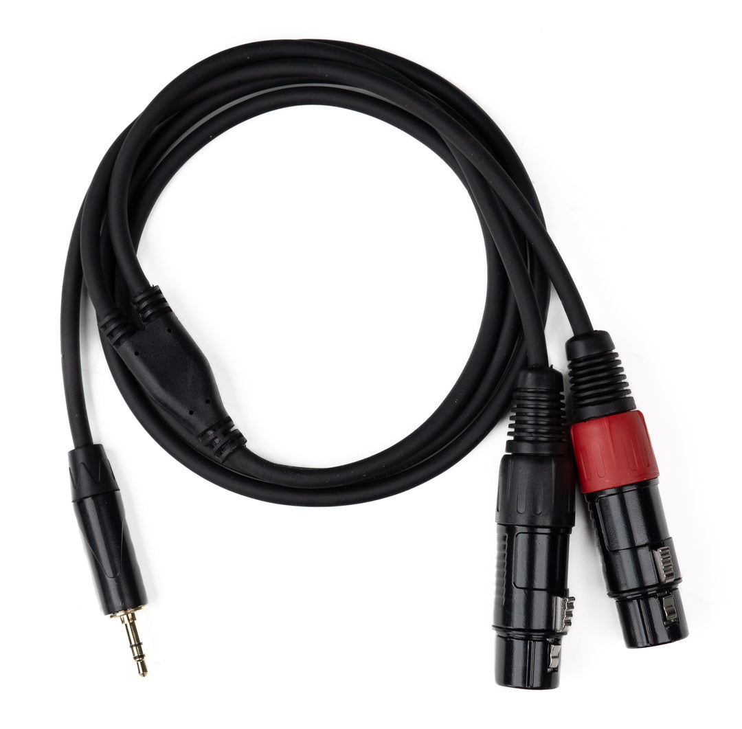 MINIJACK 3,5mm TRS Mâle vers 2x XLR Femelle (1,3m)