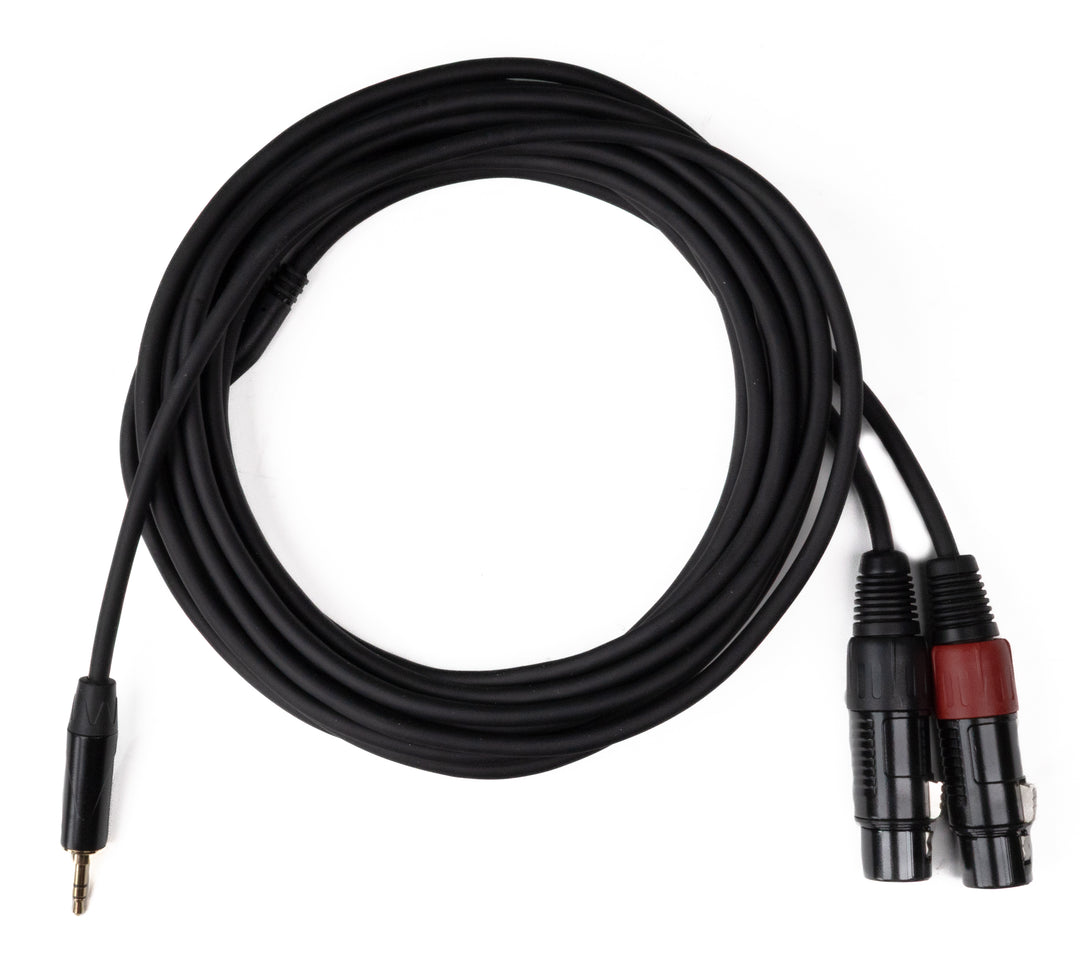 MINIJACK 3,5mm TRS Mâle vers 2x XLR Femelle (6m)