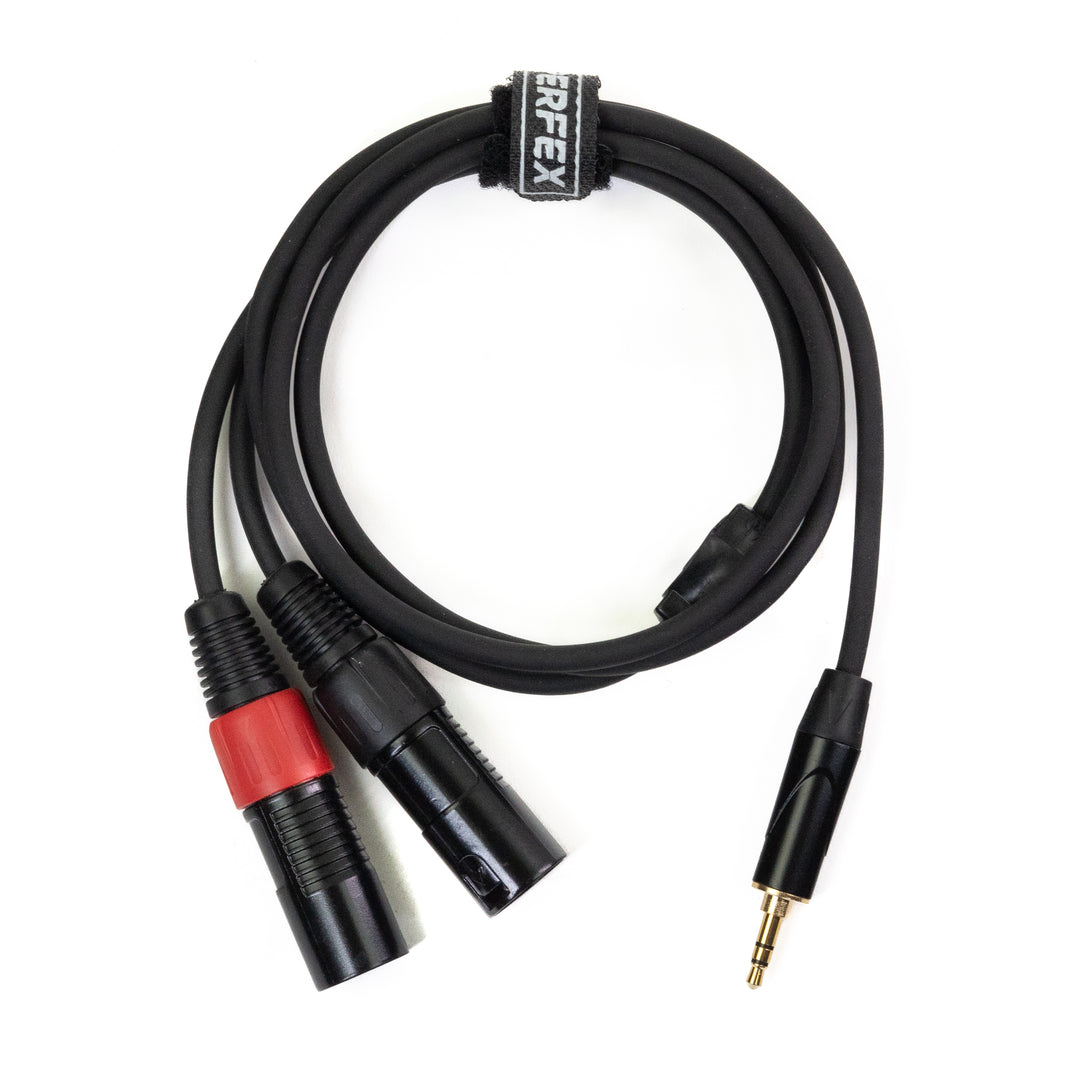 Perfex 2x XLR Mâle vers Minijack 3,5mm Câble (1,3m)