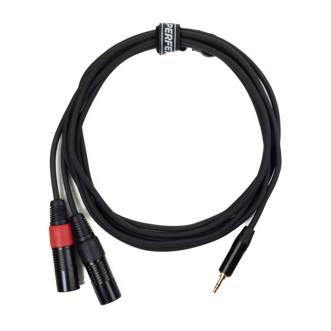 Perfex 2x XLR Mâle vers Minijack 3,5mm Câble (3m)