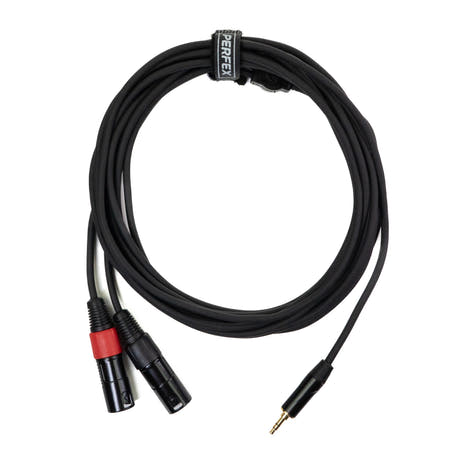Perfex 2x XLR Mâle vers Minijack 3,5mm Câble (6m)