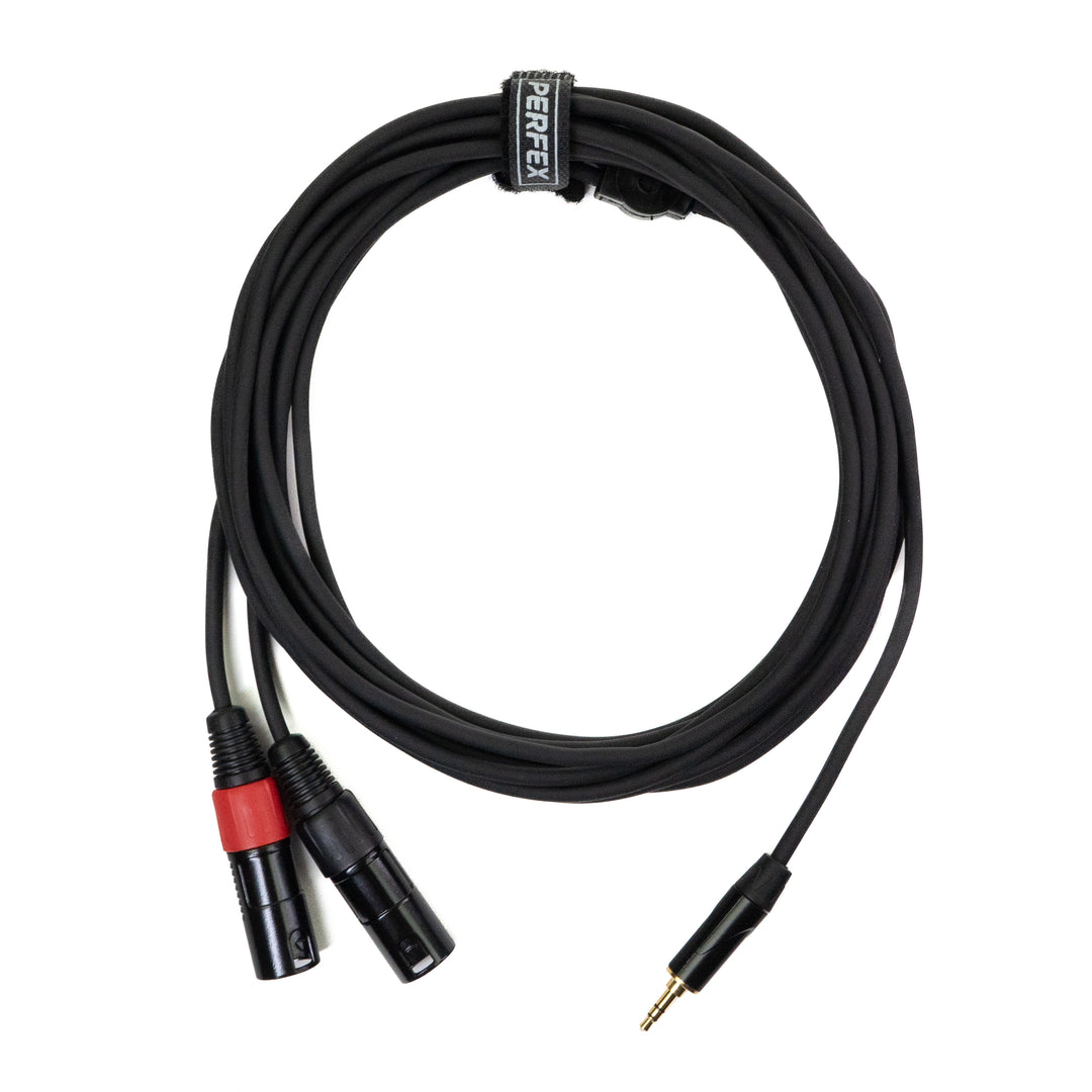 Perfex 2x XLR Mâle vers Minijack 3,5mm Câble (6m)