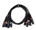 Par-8 multicore XLR mâle vers XLR femelle (1,5m)