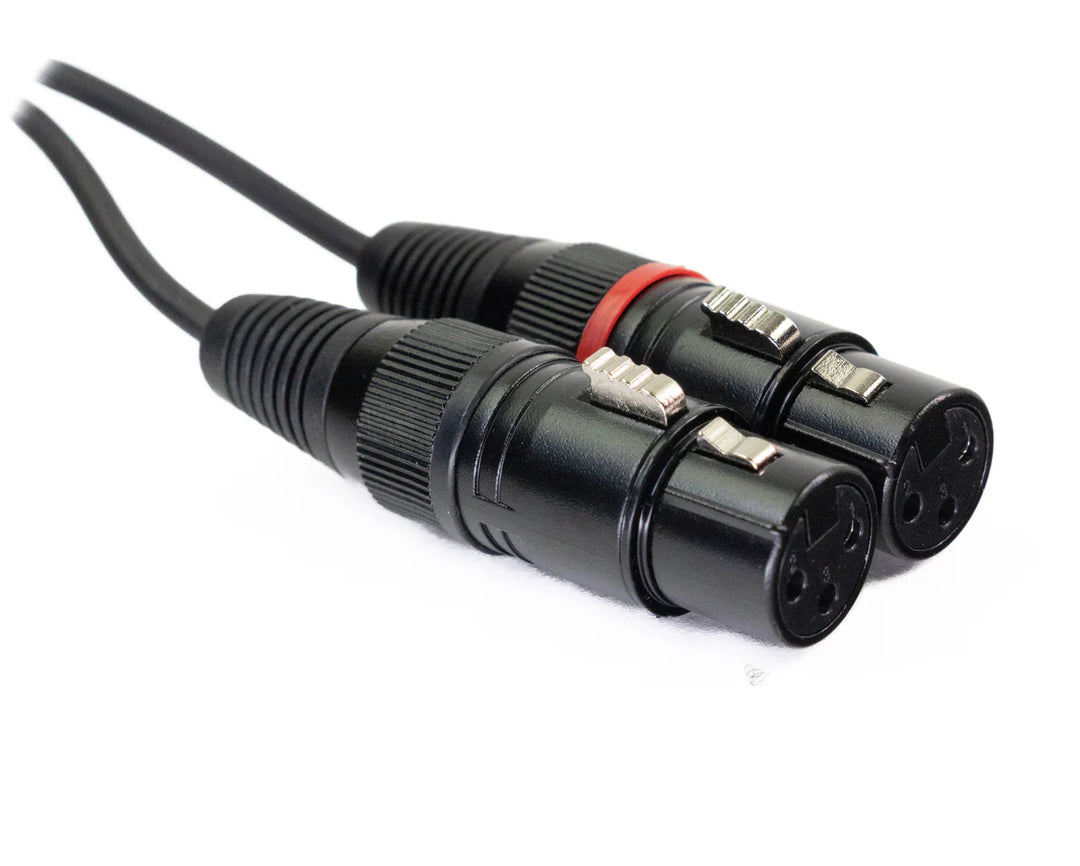 MINIJACK 3,5mm TRS Mâle vers 2x XLR Femelle (3m)